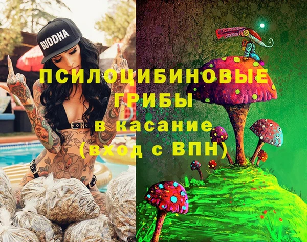 2c-b Бородино
