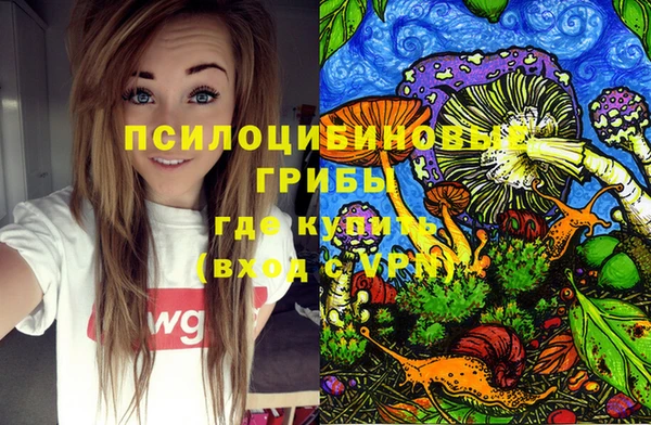 2c-b Бородино