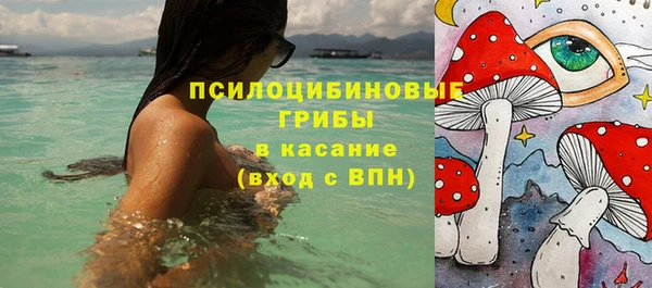 герыч Бронницы