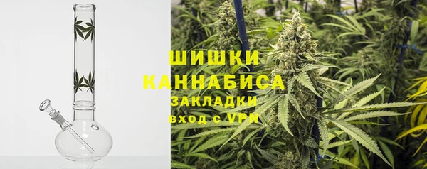 2c-b Бородино